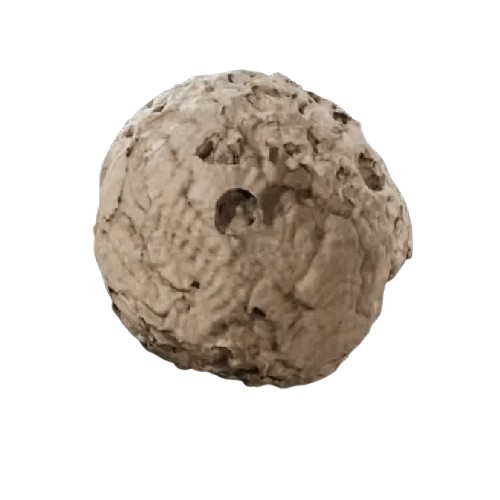 Baltic Hornets’ Nest